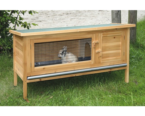 Clapier à lapin en bois avec porte grillagée et lapin