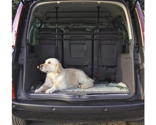 Hund liegt im Kofferraum mit Hundegitter