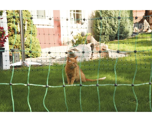 Chat derrière un filet de protection pour chat dans le jardin
