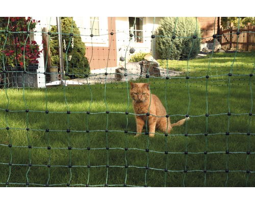 Chat derrière un filet de protection pour chat dans le jardin