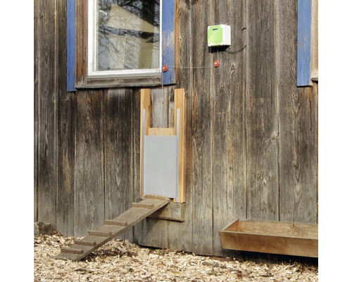 Automatische Hühnerklappe an einem Holzstall mit Leiter und Futtertrog