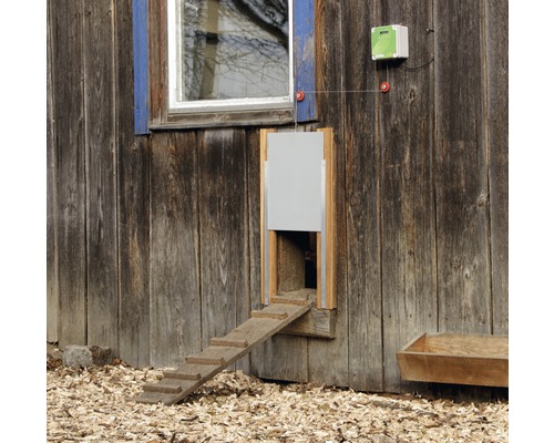 Hühnerstalltür mit automatischer Steuerung, Leiter und Futtertrog