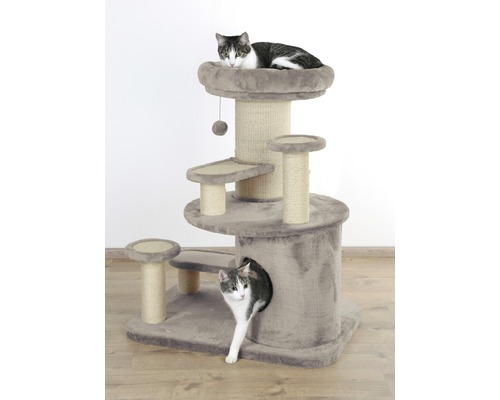 Katzenkratzbaum mit Liegeflächen und einer Katze, die aus einer Höhle schaut