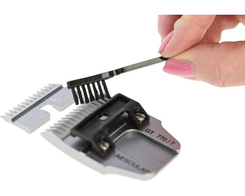 Pflegebürste reinigt Scherkopf