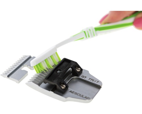 Eine Hand reinigt mit einer Bürste einen Scherkopf.