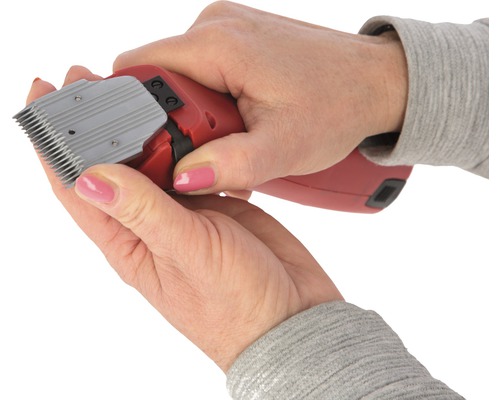 Eine rote Haarschneidemaschine wird von zwei Händen gehalten.