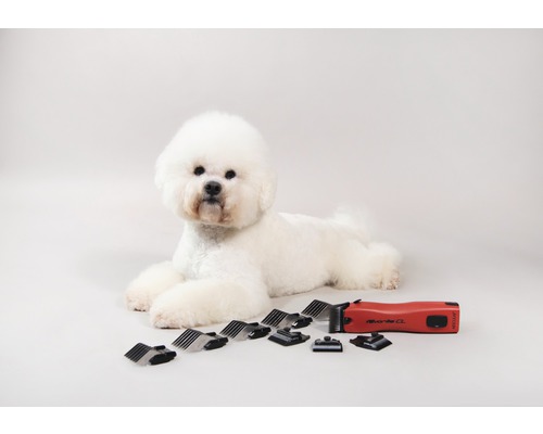 Heller Hund liegt neben einer roten Hundehaarschneidemaschine mit Zubehör