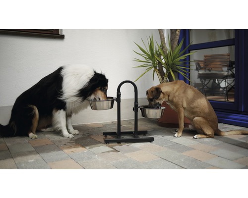 Zwei Hunde fressen von einem erhöhten Futterständer im Freien.