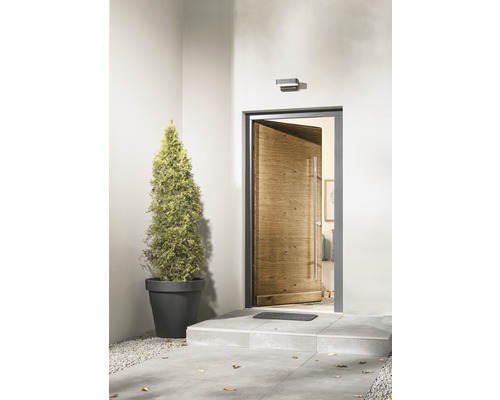 Espace d''entrée avec porte d''entrée, applique murale d''extérieur et plante en pot