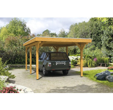 Carport simple en bois avec voiture dans le jardin