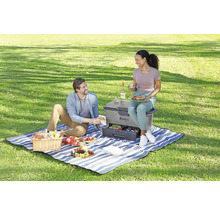 Szene mit einem Paar, das ein Picknick mit einer Kühlbox von Ninja im Freien genießt.