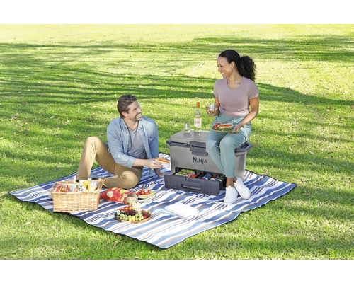 Szene mit einem Paar, das ein Picknick mit einer Kühlbox von Ninja im Freien genießt.