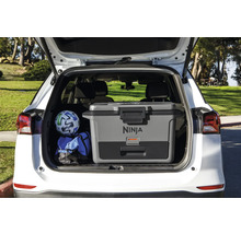 Kühlbox von Ninja im Kofferraum eines Autos, zusammen mit einem Fußball und einer Sporttasche.