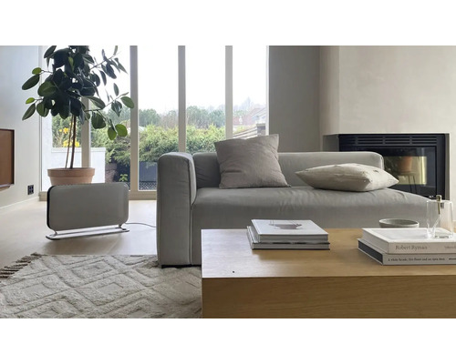 Salon avec canapé, table basse, plante d''intérieur et appareil de chauffage