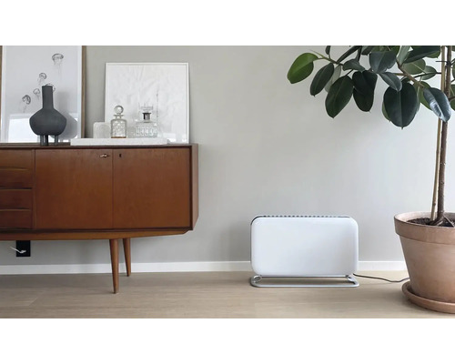 Scène avec un appareil de chauffage, une commode et une plante d''intérieur dans une pièce.