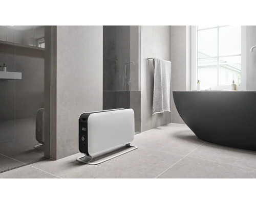 Salle de bains avec baignoire îlot, douche et radiateur