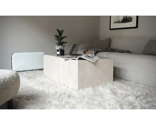 Salon avec canapé, tapis, table basse, radiateur et décoration