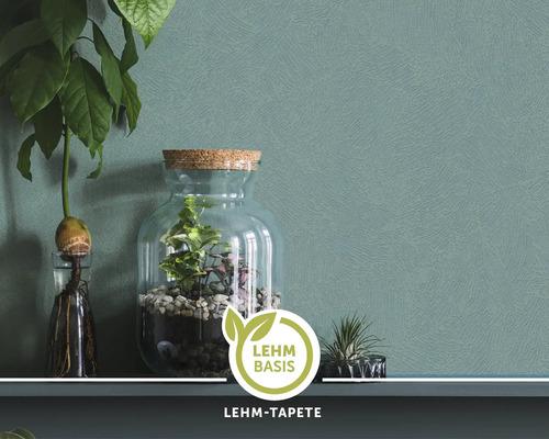 Nahaufnahme einer Wand mit Lehmbasis Tapete, dekoriert mit Pflanzen in Glasgefäßen