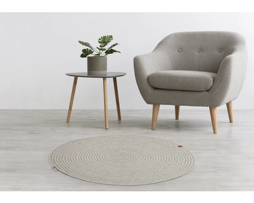Aménagement intérieur avec tapis rond, fauteuil et table d''appoint avec plante