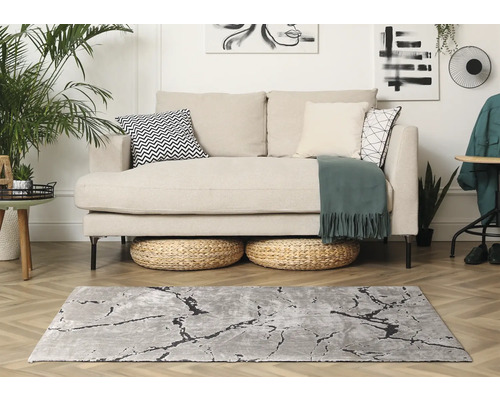 Salon avec canapé, coussins, tapis et décoration