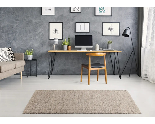 Salon avec canapé, bureau, chaise et tapis