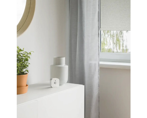 Innenraumszene mit Pflanze, Vase, Bewegungsmelder und Rollo