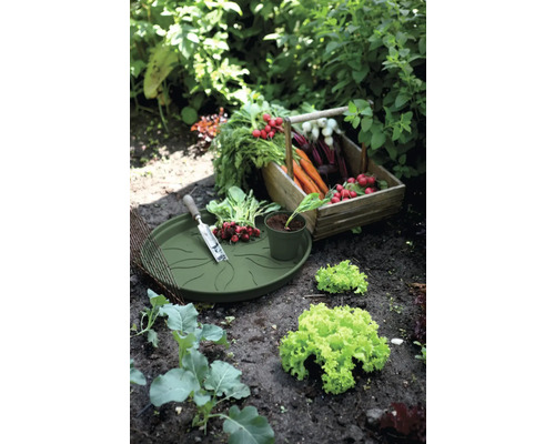 Panier de légumes avec radis, carottes et betteraves à côté d''un plateau de plantation avec des outils de jardinage