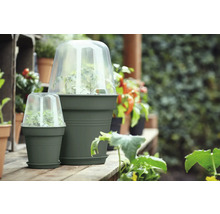 Deux pots de fleurs avec mini-serres transparentes sur une table en bois.