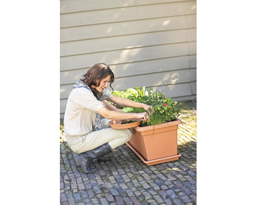 Femme récoltant des légumes d''une jardinière rectangulaire avec soucoupe