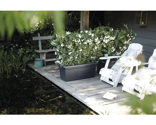 Szene mit einem länglichen Pflanzkasten auf einer Holzterrasse neben einem Teich, mit Gartenmöbeln und üppigem Grün.
