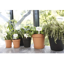 Soucoupe Elho Green Basics® Ø 22 cm noir