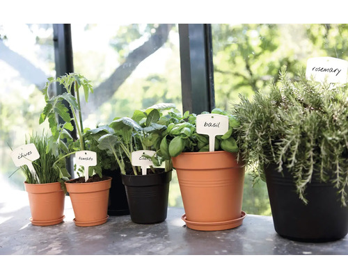 Verschiedene Kräuter und Gemüsesorten in Töpfen mit Pflanzenetiketten.