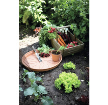 Soucoupe Elho Green Basics® Ø 17 cm, terre cuite
