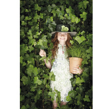 Une fille avec un chapeau tient un pot avec des plantes, entourée de lierre.