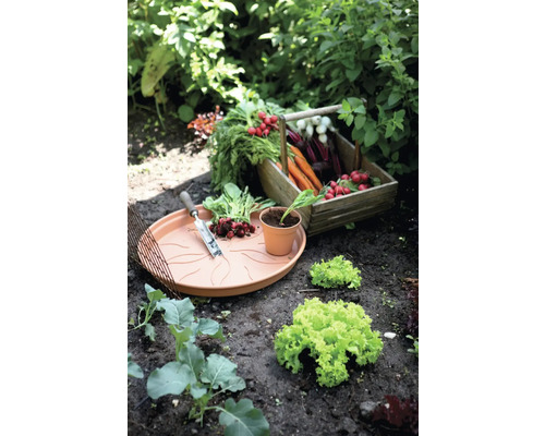 Scène de jardin avec panier de légumes, plateau de semis et outils de jardin dans le parterre