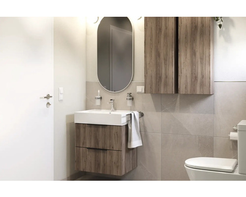 Salle de bains avec lavabo, armoire de toilette et toilettes