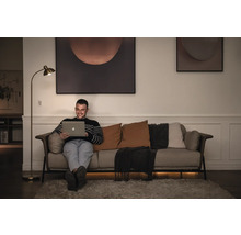 Un homme est assis avec un ordinateur portable sur un canapé dans un salon avec un lampadaire et une décoration murale