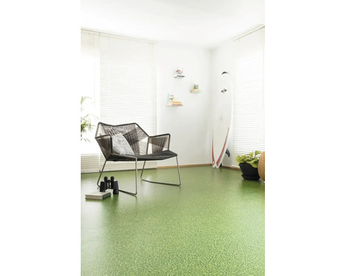 Salon avec revêtement de sol vert, chaise et planche de surf