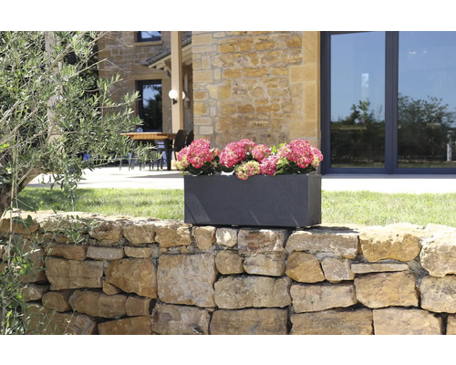 Jardinière rectangulaire en pierre avec des hortensias roses sur un mur de pierre dans le jardin.