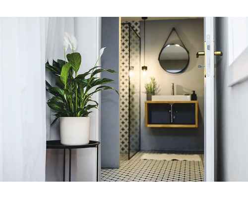 Helles Badezimmer mit Spathiphyllum im Topf, Waschbeckenunterschrank und Spiegel
