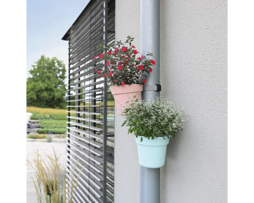 Scène avec deux pots de fleurs fixés à un tuyau de descente à l''aide d''un support