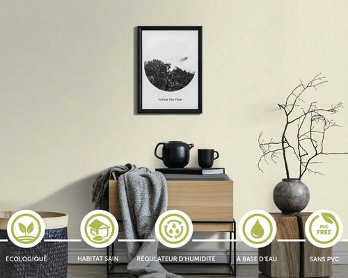 Aménagement mural avec une peinture écologique, adaptée à un climat intérieur sain, régulatrice d''humidité, à base d''eau et sans PVC.