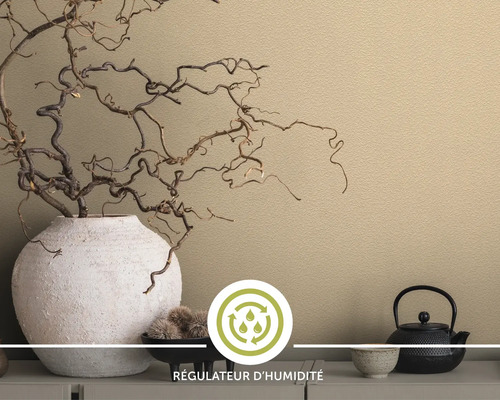 Symbole de régulation de l''humidité sur la décoration murale