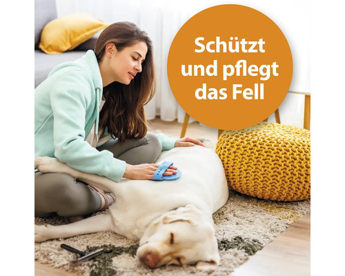 Une femme brosse le pelage d''un chien sur un tapis, avec un cercle de texte indiquant : Protège et soigne le pelage