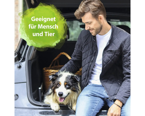 Mann mit Hund und Korb im Kofferraum eines Autos. Geeignet für Mensch und Tier.