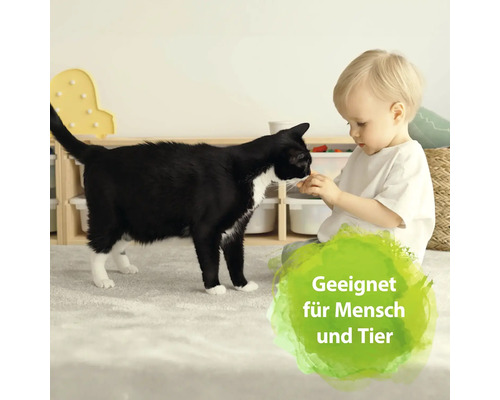 Ein Kind füttert eine Katze in einem hellen Raum mit Möbeln zur Aufbewahrung.