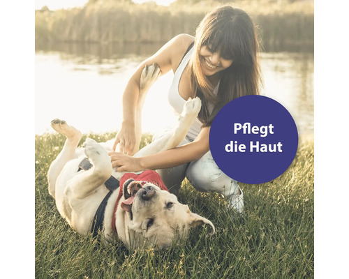 Femme joue avec un chien dans l''herbe: Soigne la peau