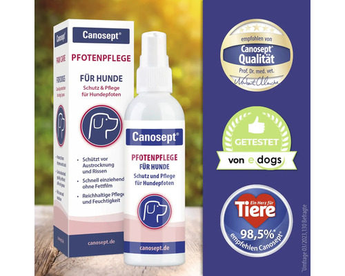 Canosept Soin des coussinets pour chiens