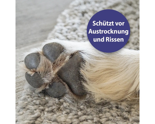 La patte de chien protège contre le dessèchement et les gerçures