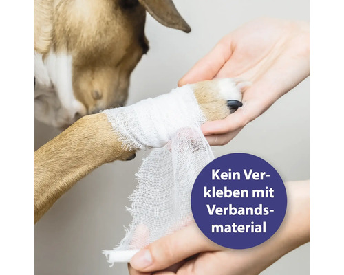 Patte de chien bandée avec du matériel de bandage. Ne colle pas au matériel de bandage.